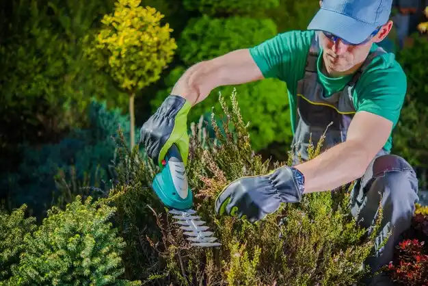 landscaping services Xenia